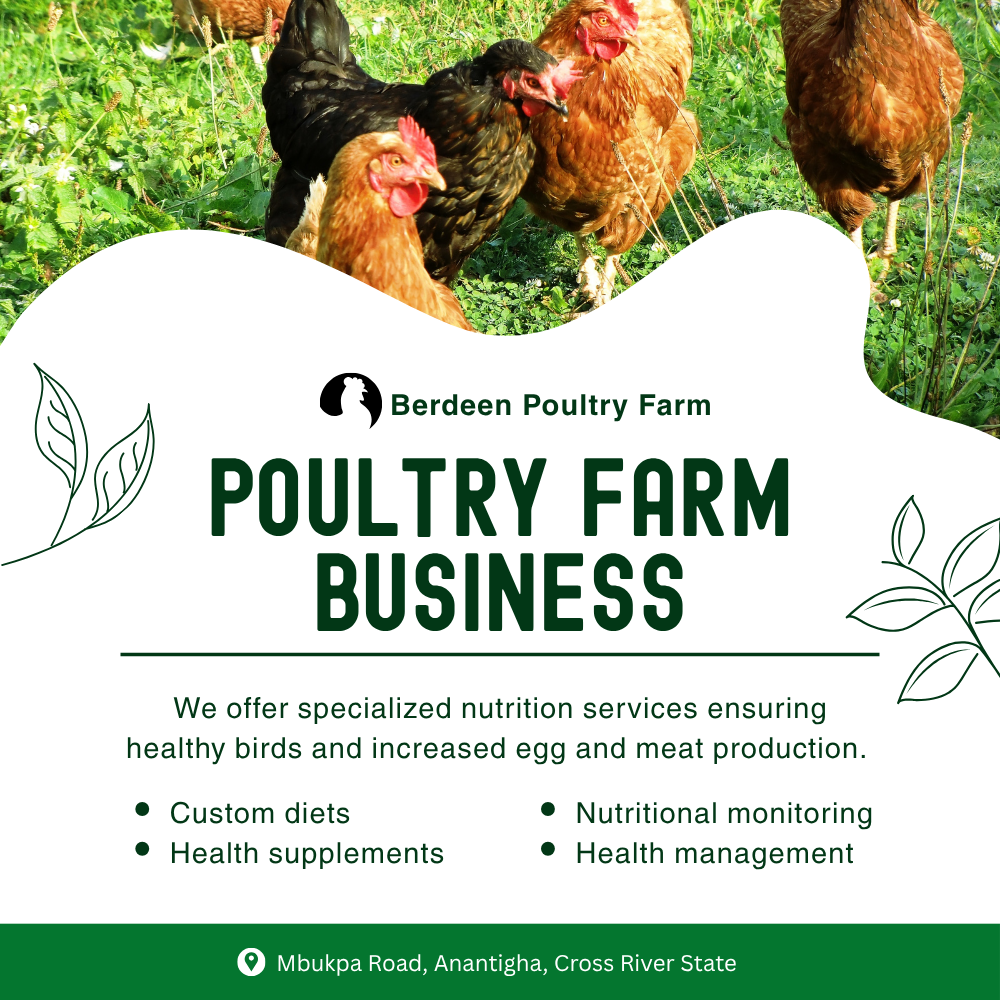 Poultry Poster
