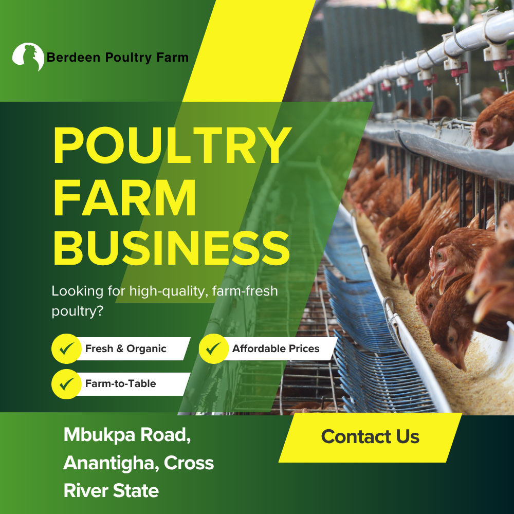 Poultry Poster